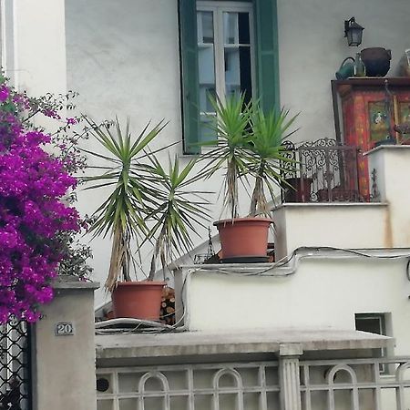 Villa Cecile Ajaccio  Bagian luar foto
