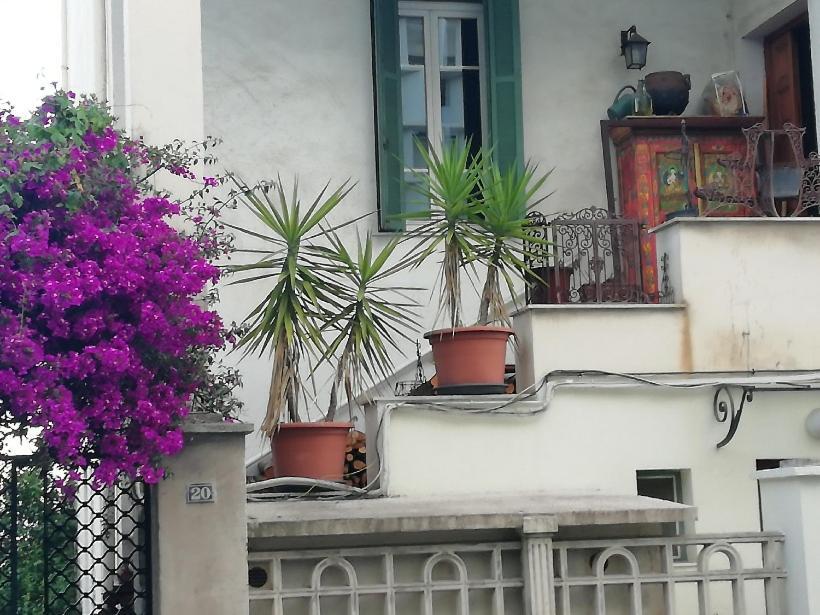 Villa Cecile Ajaccio  Bagian luar foto